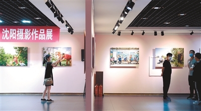 沈陽30位駐村“第一書記”成主角，鄉(xiāng)村振興展覽展現(xiàn)責任與擔當